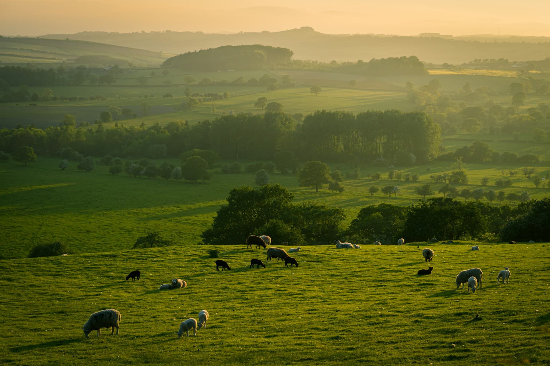 The field conditions Luniby Farm is designed for — capture that is fast, forgiving and offline-tolerant.